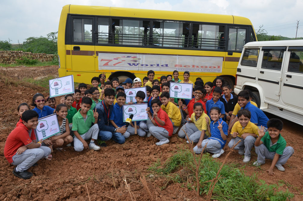 Tree Plantation Drive